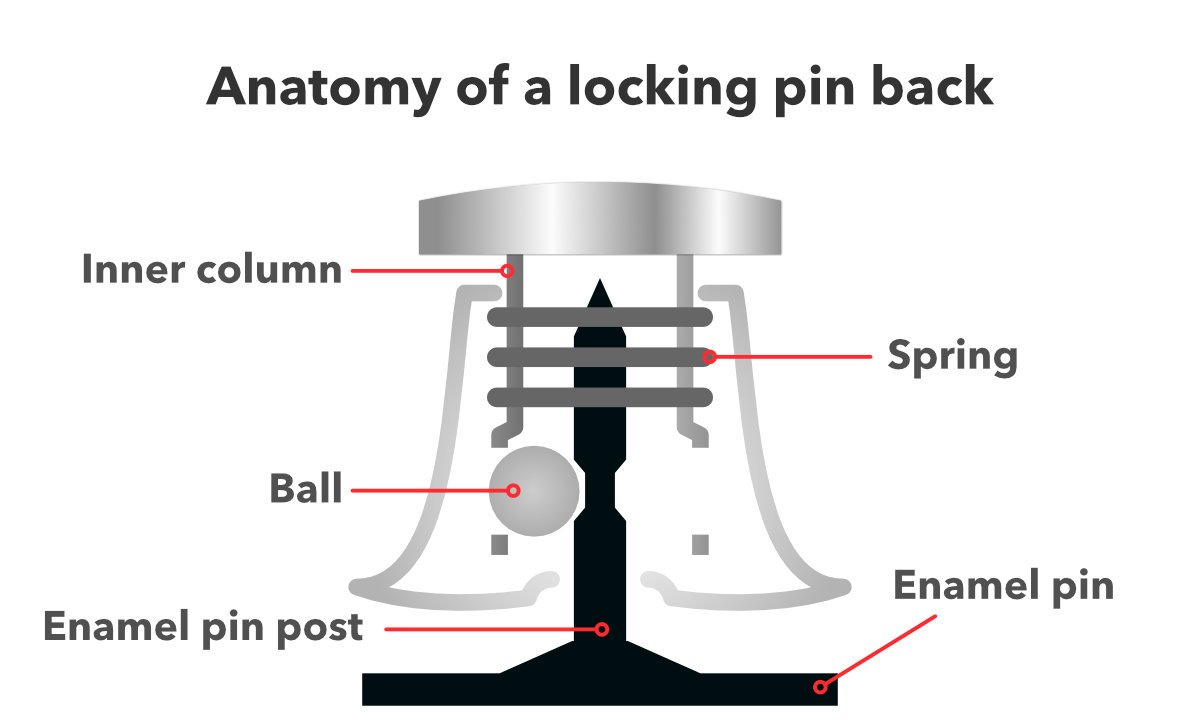 pin_locking_back_anatomy